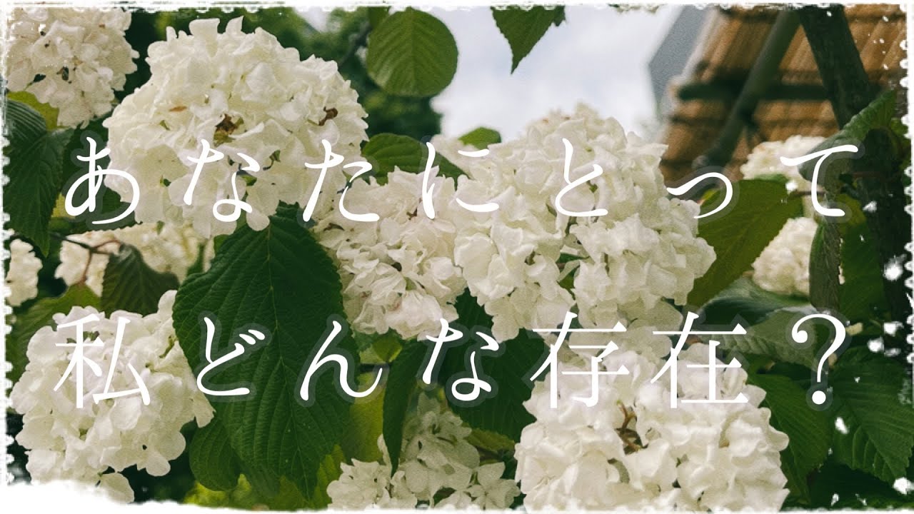 私って一体どんな存在なの…？あの人にとってあなたの存在とは？ #せんぴちゃんねる