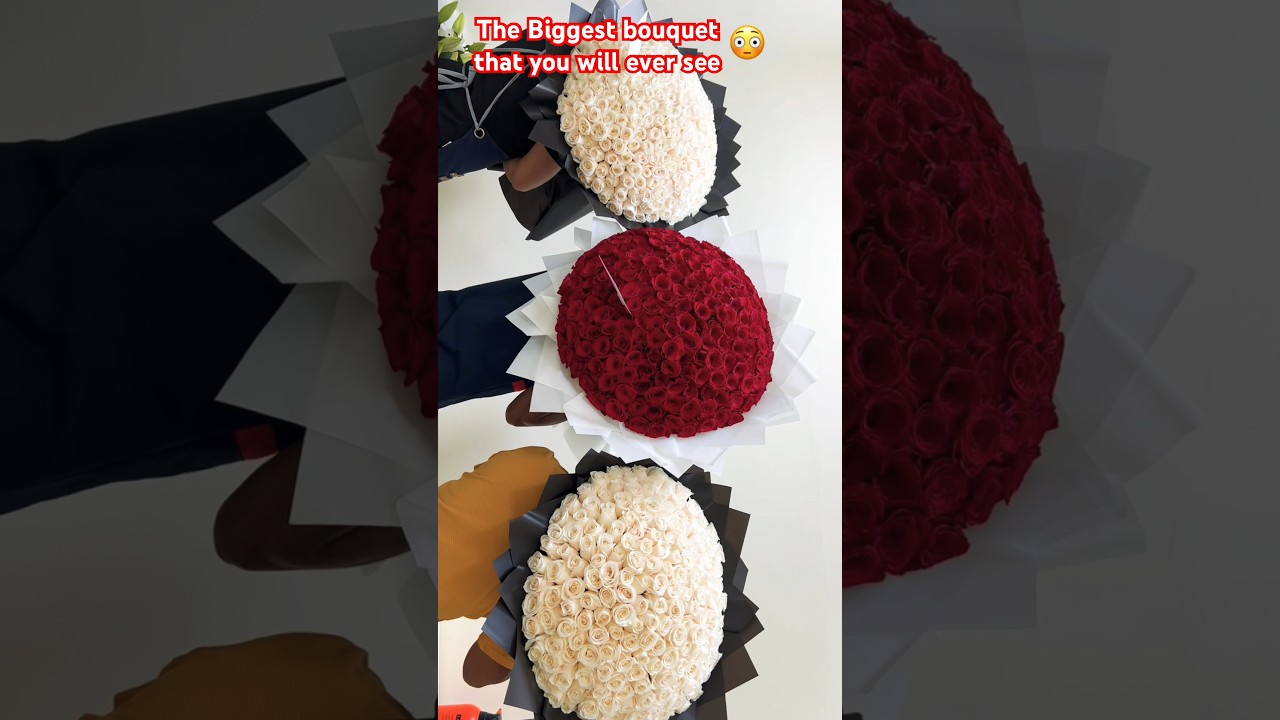 THE BIGGEST BOUQUET THAT YOU WILL EVER SEE | 1st 200 white Roses | 2nd 250 Red ROSES | 3rd 300 Roses