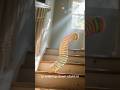 From a Navy Tool to Toy Legend: The Slinky Story #inventionstory n