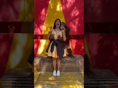 Meet my new boyfriend 😅. Travel partner @benedictionsinternational9451  #orangutan #thailand