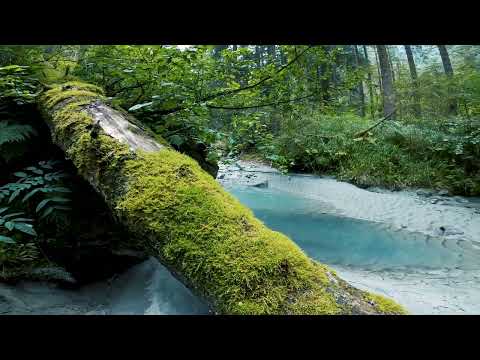 breathtaking nature 1080 HD