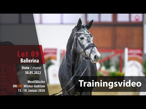 Online Winter-Auktion 2026 Training Lot 9 Ballerina Stute v. Bach - Hotline