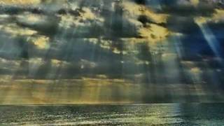 Wild Goose flap it's Wings ~~ Mike Oldfield