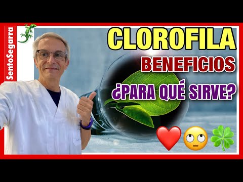 ✅ CHLOROPHYLL BENEFITS ❤️ What is it REALLY USED for? 🥰