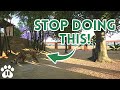 Top 10 Mistakes in Planet Zoo