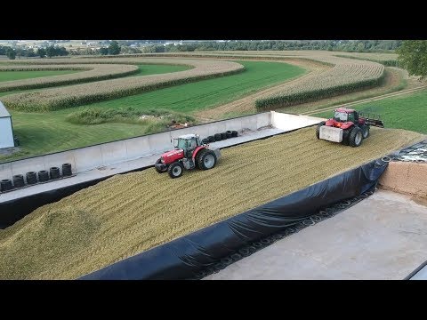 Corn Silage Harvest BeginsFilling the Big Bunk
