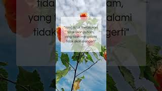 Download lagu yang tidak merasakan #motivasi #quotes #shortsvideo #kata kata bijak #story wa #penyemangatdiri mp3