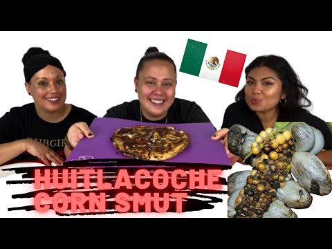 Huitlacoche aka Corn Fungus | CORN SMUT