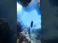 favorite underwater cave ✨ #freedivegirl #foryou #foryoupage #BombPopAwards #AsSceneOnTubi