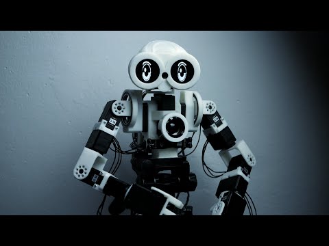 robot video thumbnail