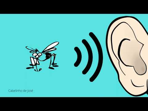 Som de Mosquito   Barulho de mosquito 🦟