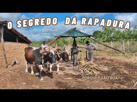 O SEGREDO DA RAPADURA