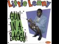 Little Lenny Gun In A Baggy