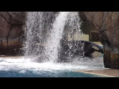 Corky Using the Slideover (5/22/18)