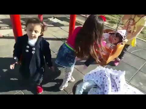 Sen Balık Köpeğisini Gördün meme görseli
