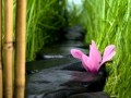Chill Out Relax Music, - Thierry David - Mystic Trip
