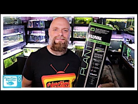 Fluval Plant 3.0 Light Review: Making Plants and Fish Look Awesome!