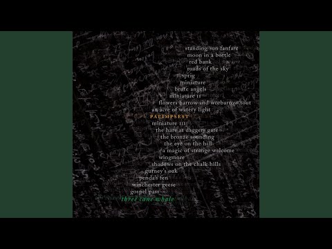 An Acre of Watery Light