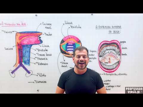 Physics and Biology - The Production of Voice