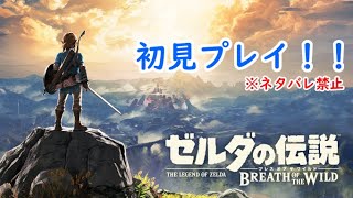【ゼルダの伝説 ブレスオブザワイルド】#3　神獣1体目ヴァ・ルッタ攻略！！　【赤ずきんてん】