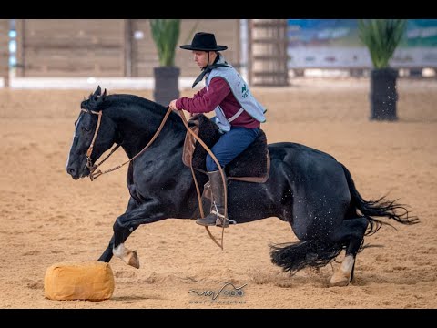 Bocal de Prata > YGUERO NEGO VEIO