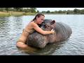 Animals Reunited With Owners After Years DEFAULT Thumbnail