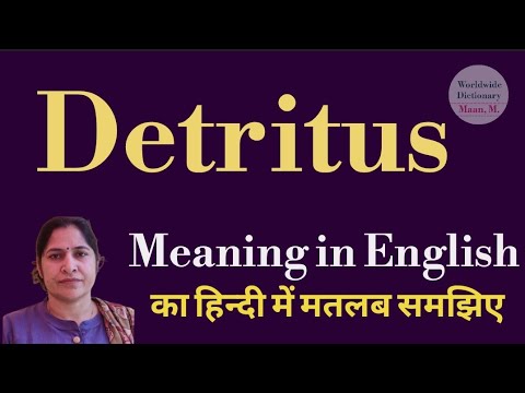 detritus meaning l meaning of detritus l detritus ka Hindi mein kya matlab hota ha l vocabulary