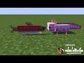 Axolotl VS Salmon Minecraft Animation