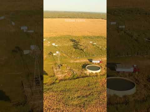 Campo productivo en venta en Cañada de Luque Córdoba | 48 ha con feedlot y casa