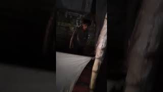 A Man Raping dog #streetdog #rap #prayagraj