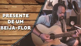 Presente de um Beija-Flor - Natiruts (Cover) | Um canto, um violão.