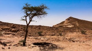 &quot;Help Me Make It Through The Night&quot; Kris Khristopherson cover/ tribute