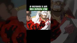 원피스) 곧 해군 때려칠 것 같은 원수 아카이누 근황 #원피스