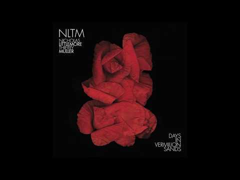 Nicholas Littlemore / Thierry Müller  – Deliver