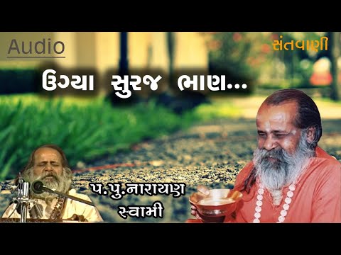 ઉગ્યા સુરજ ભાણ ભજન || Ugya suraj bhan bhajan by Narayan swami