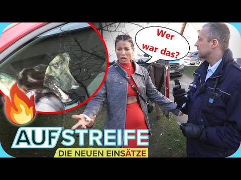 Hund in Hitzefalle! 🐶​🥵​🚘​ Wer hat ihr Auto mit dem Tier so dreist abgestellt? | Auf Streife | SAT.1