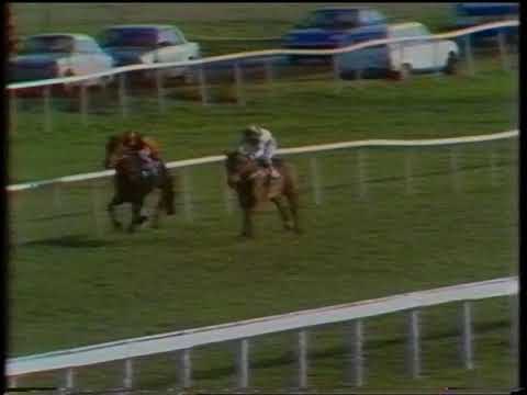 1982 Ladbroke Christmas Hurdle