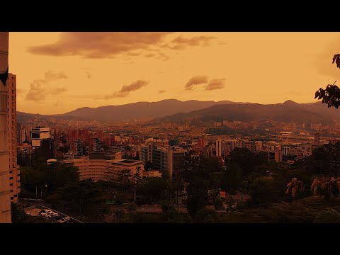 Miniatura de Cacotea