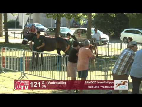 Decize 2016 : Lot 121 - N (Vadrouille 2016)