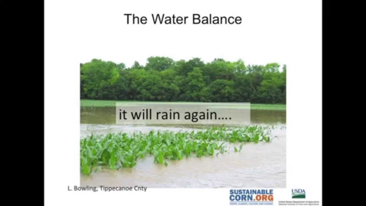 Speed Science: The Water Balance