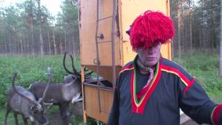 Shore Excursion From Luleå, Sweden To Swedish Lappland