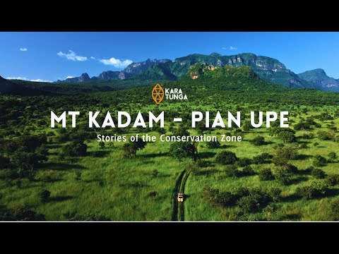 Environmental Conservation