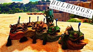BULBDOGS: ARE THEY USEFUL AT ALL