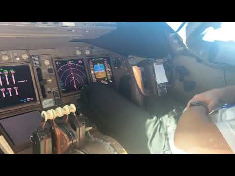 Boeing 747-400 brief cruise view