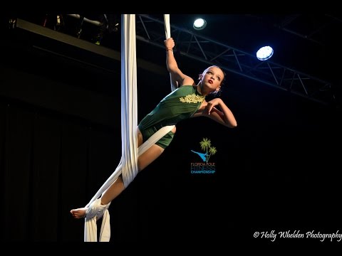 FPFC 2017 Aerial Silks Novice Division - Alina