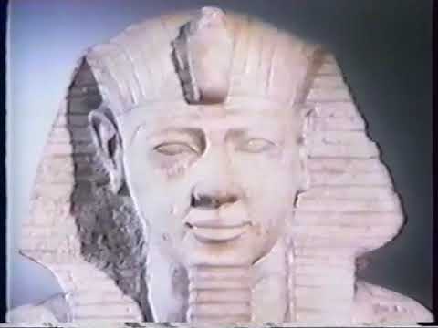 Alphabet: The Story of Writing pt. 1 and 2 by Donald Jackson