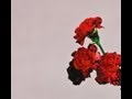 John Legend - All Of Me (Album version)