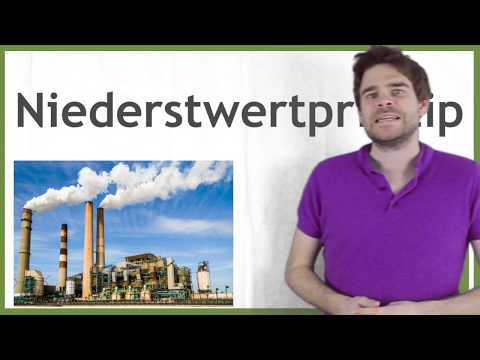 Niederstwertprinzip  - Unterschiede strenges und mildes Niederstwertprinzip