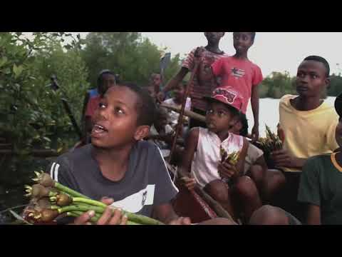 Humble Bundle x Cool Effect | April 2023 Featured Charity