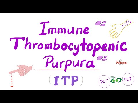 Immune Thrombocytopenia (ITP) — Most COMPREHENSIVE Explanation — Hematology